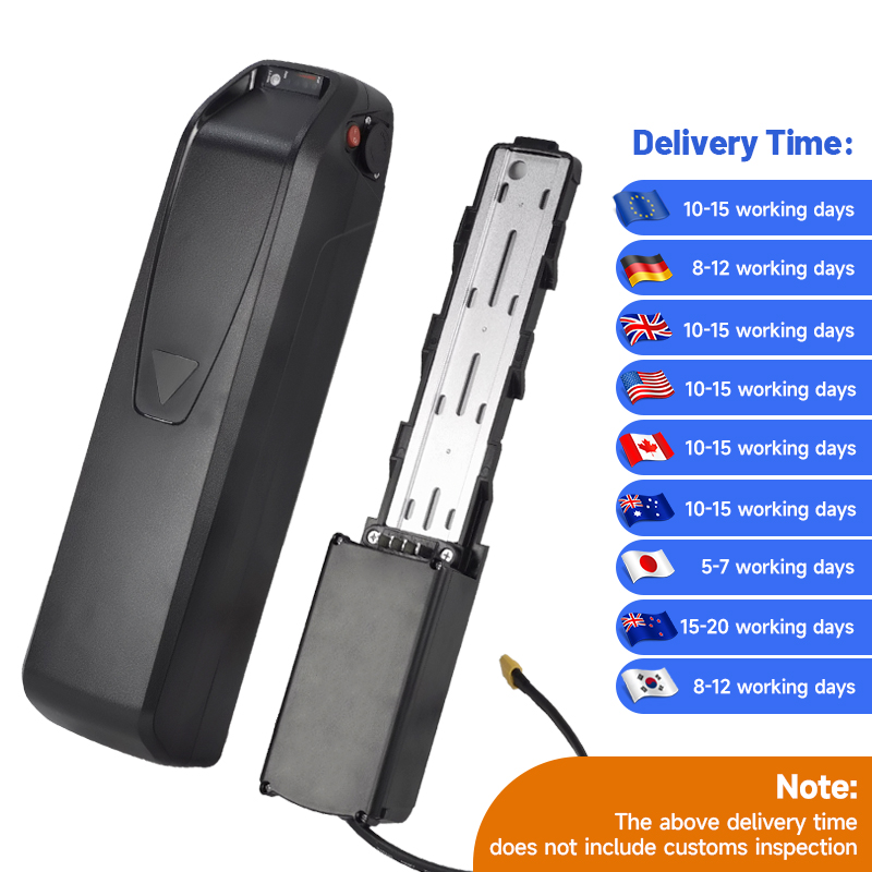 Ebike Battery 48V 20Ah Hailong - ALX Hailong batteria ebike 36v agli