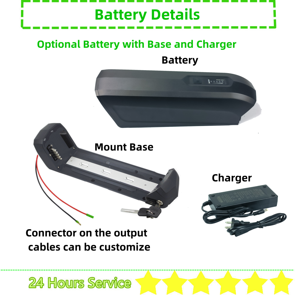 36V Ebike batteria Hailong 2 S - Ebike Battery 48V 20Ah Hailong recensione e prezzo