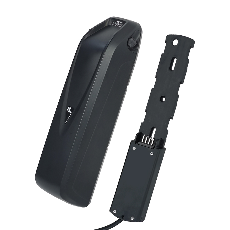 Hailong EBike batteria 36V 48V - Ebike Battery 48V 20Ah Hailong recensione e prezzo