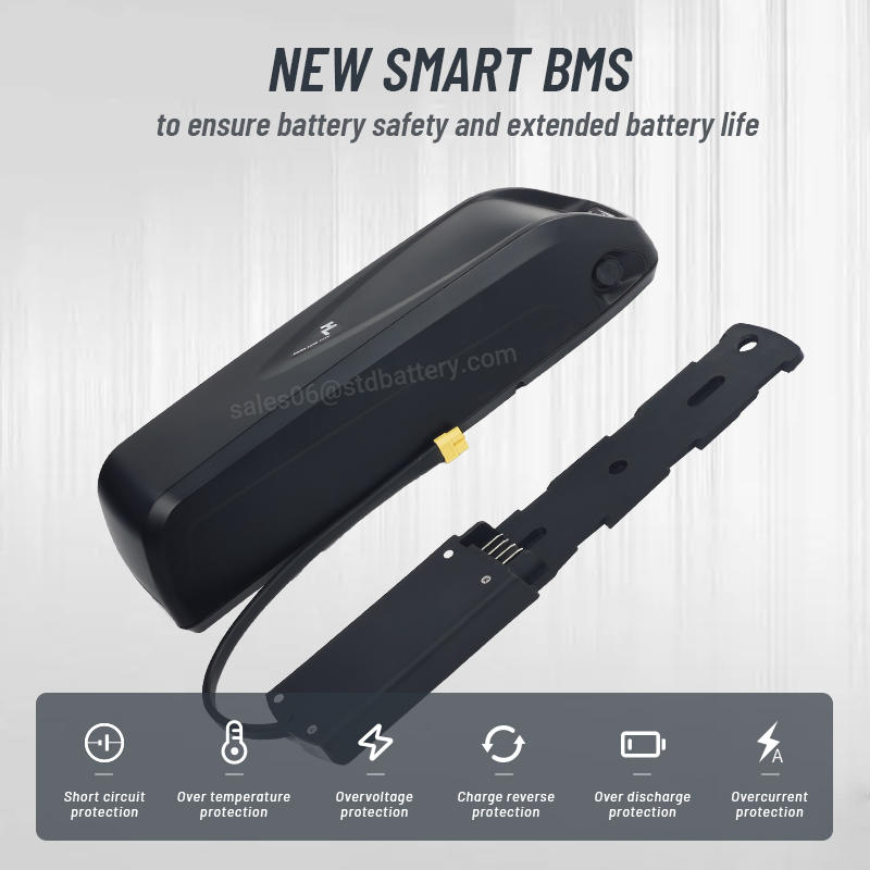 Hailong EBike batteria 36V 48V - Ebike Battery 48V 20Ah Hailong recensione e prezzo